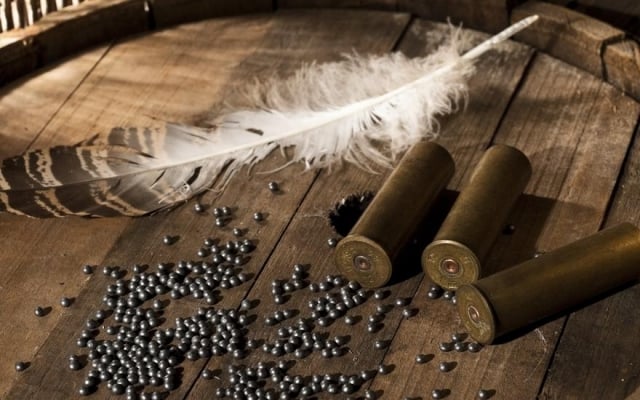 Figuring Out The Best Shot Size For Turkey Hunting At A Glance