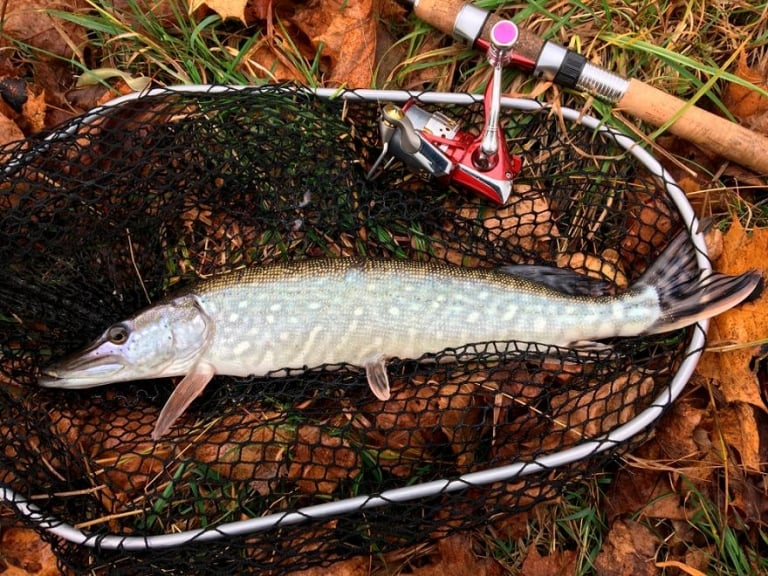 Fishing Trip Packing List What To Bring on a Fishing Trip May.2024