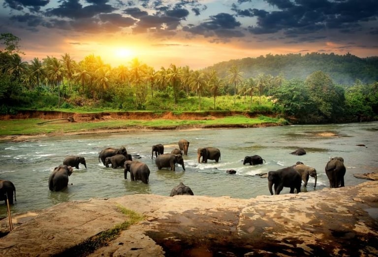 Wilderness Photography 101: How to Take Great Wildlife Photos - July.2022