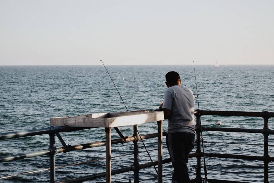 Best places to go fishing in Dublin December.2020