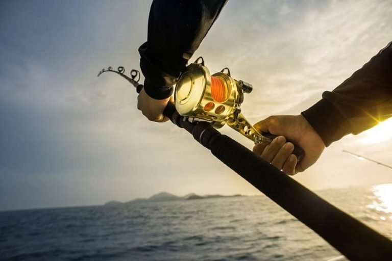 Types of Fishing Reels - Which one is right for you? - December.2024