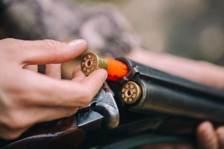 What Type of Shotgun Pellets Are Allowed For Waterfowl Hunting in the ...