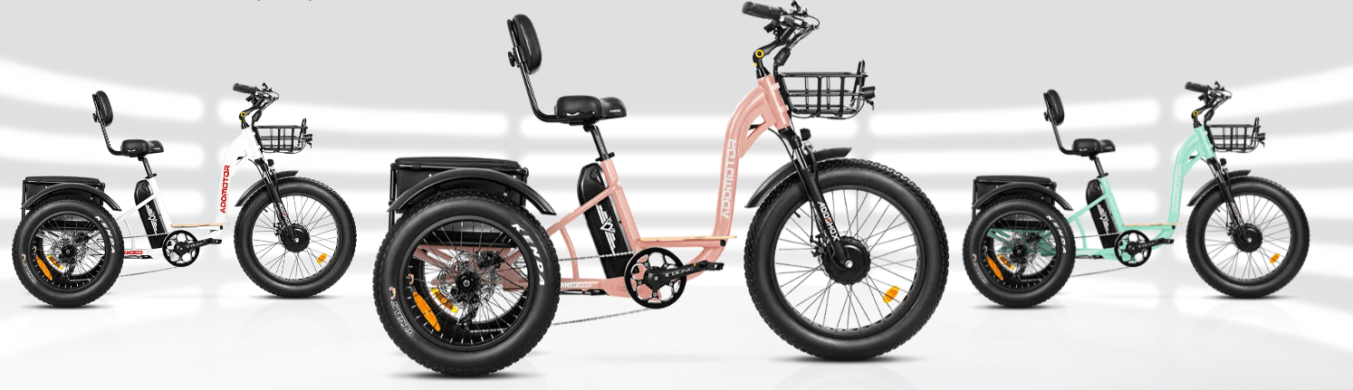 Here’s Why Fat Tires and Trike Electric Bikes Are a Good Choice ...