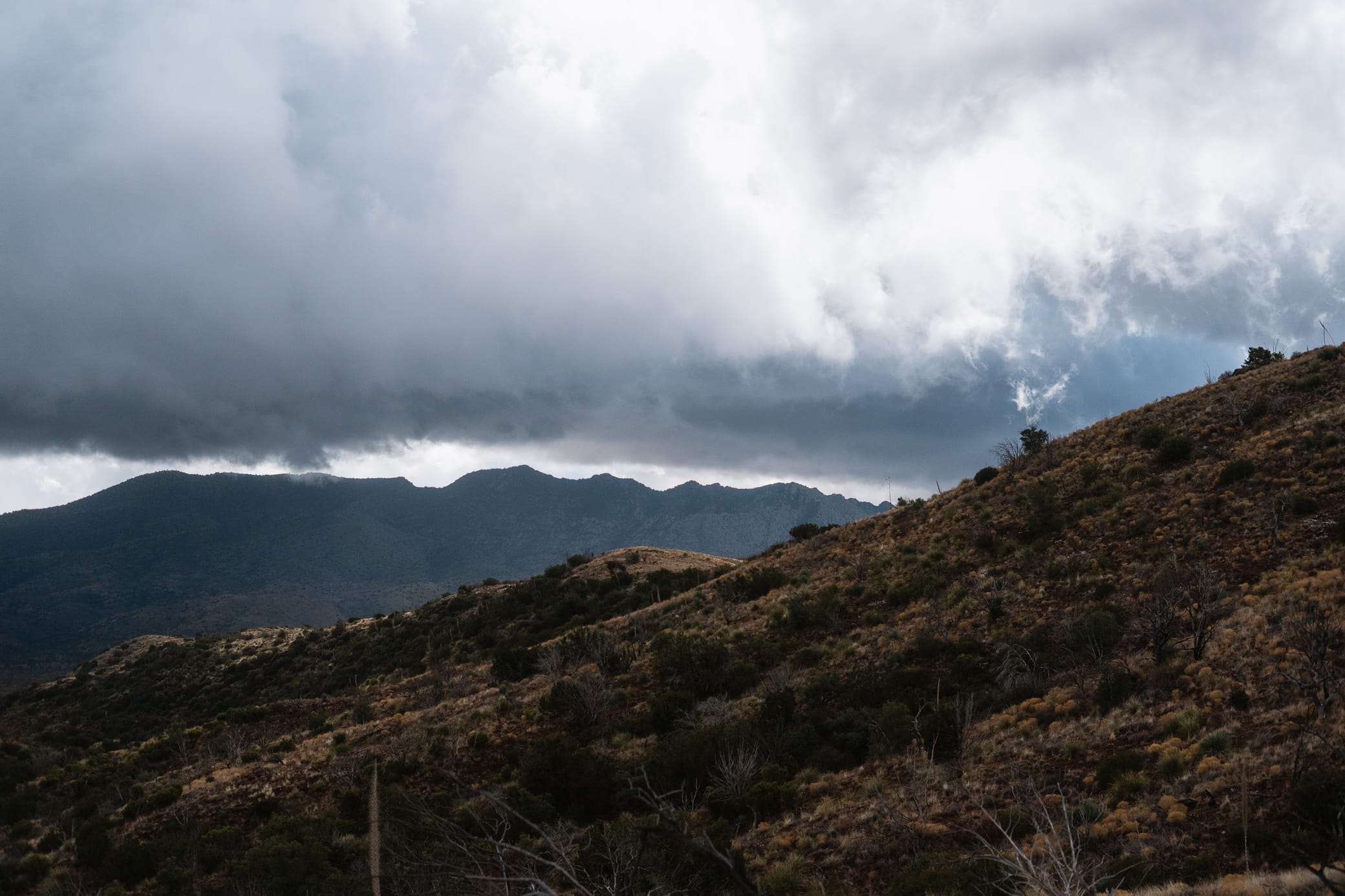 say-yes-to-bad-weather bad weather