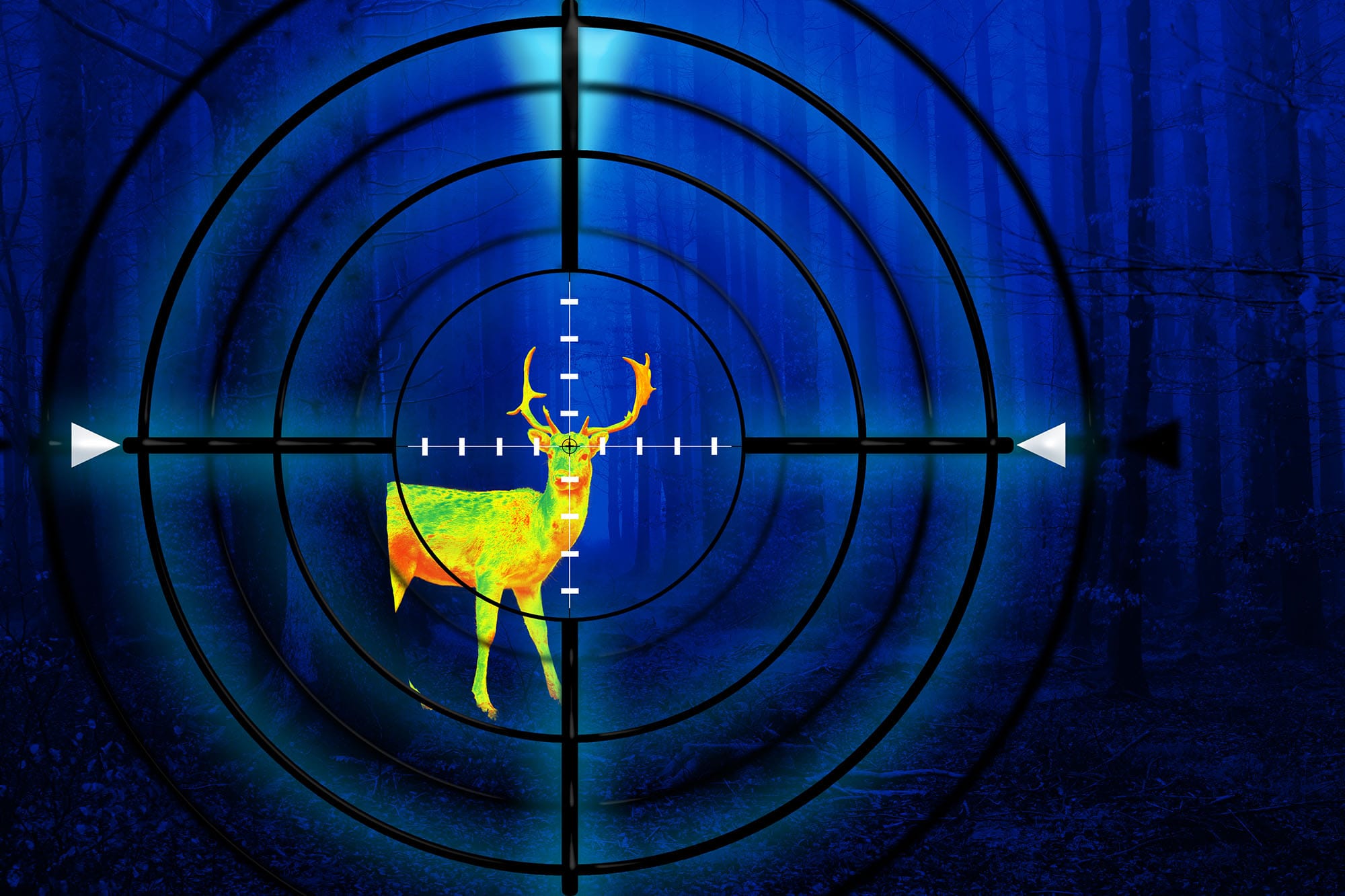 shutterstock_1515613424 Thermal Optics