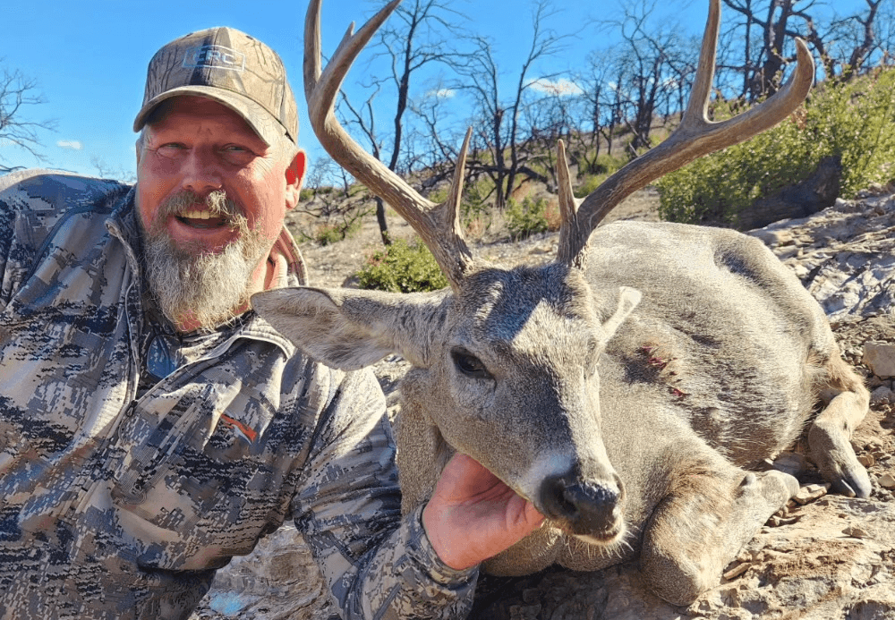 New Mexico Coues Deer