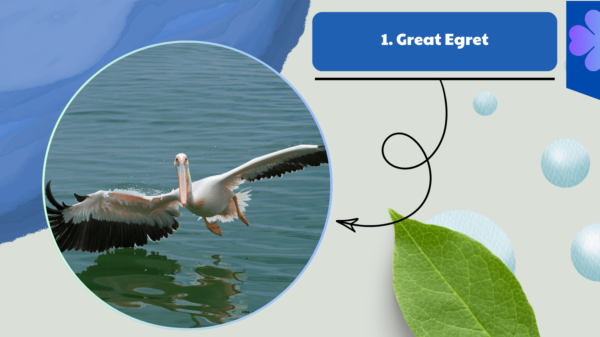 Great Egret
