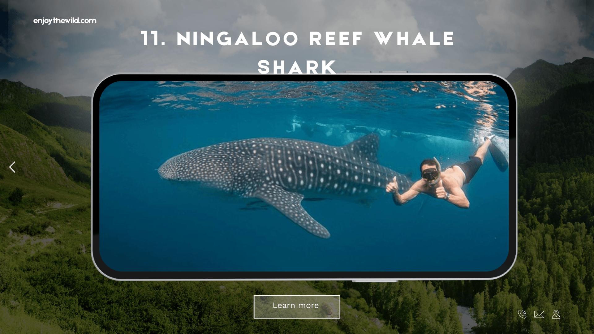 Ningaloo Reef Whale Shark