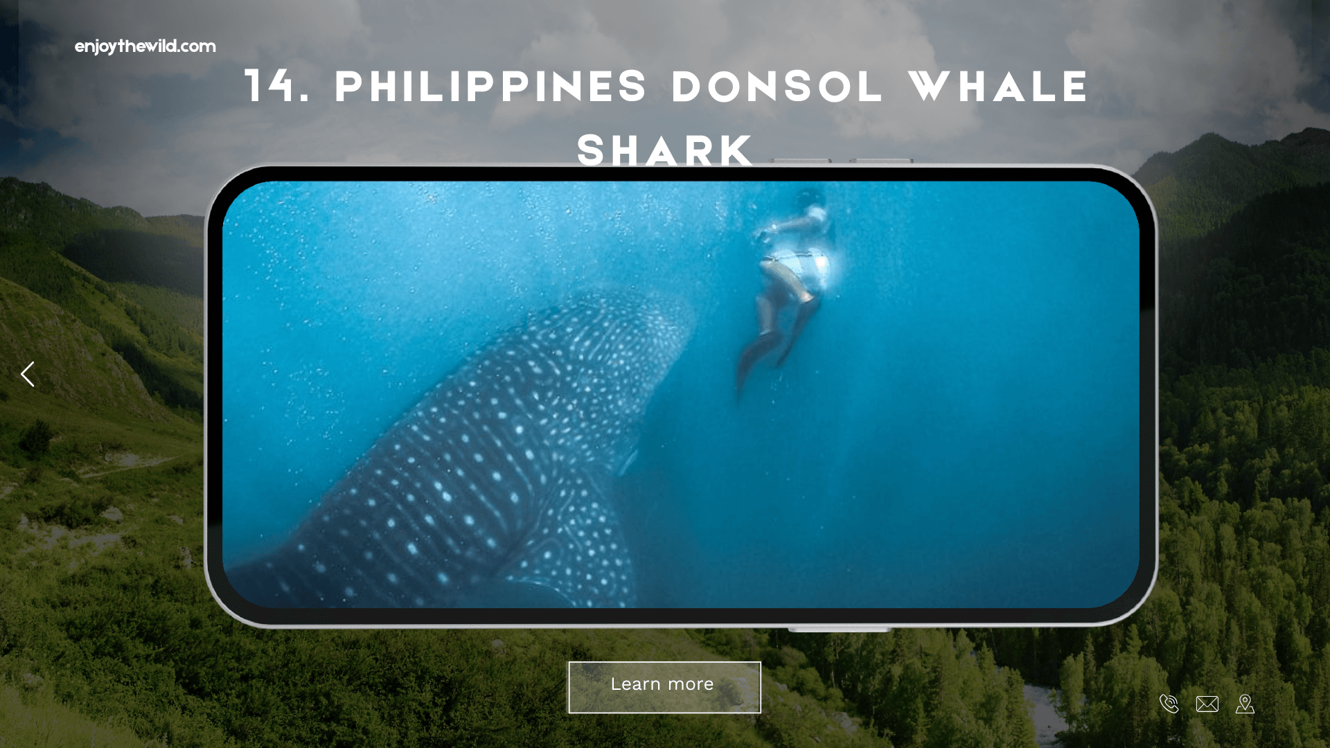 Philippines Donsol Whale Shark