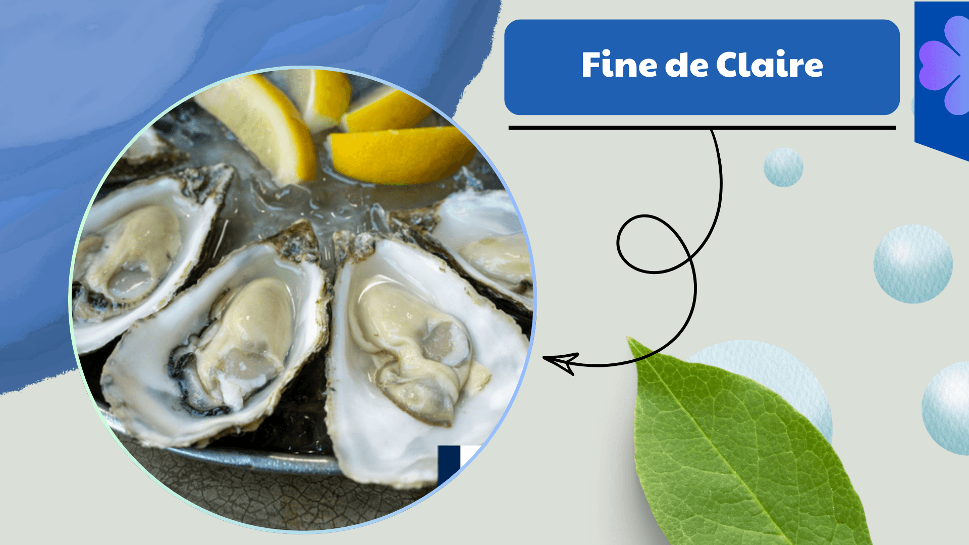 Fine de Claire Oyster