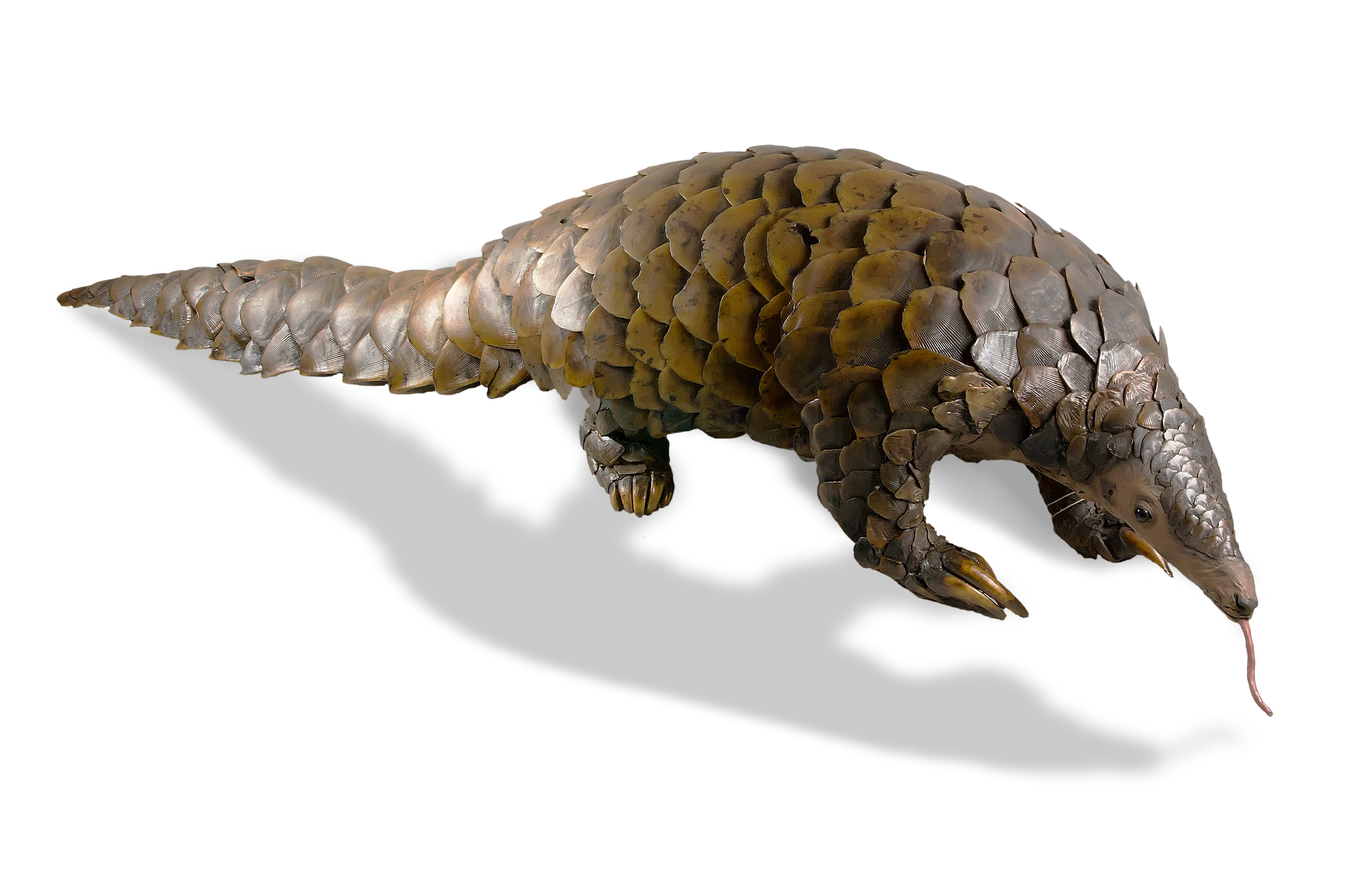 African-Pangolins