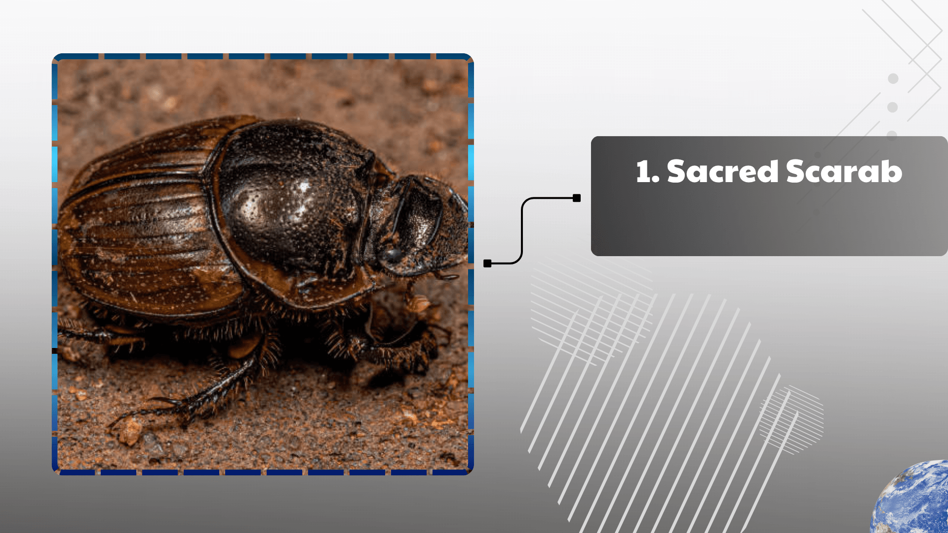 Sacred Scarab