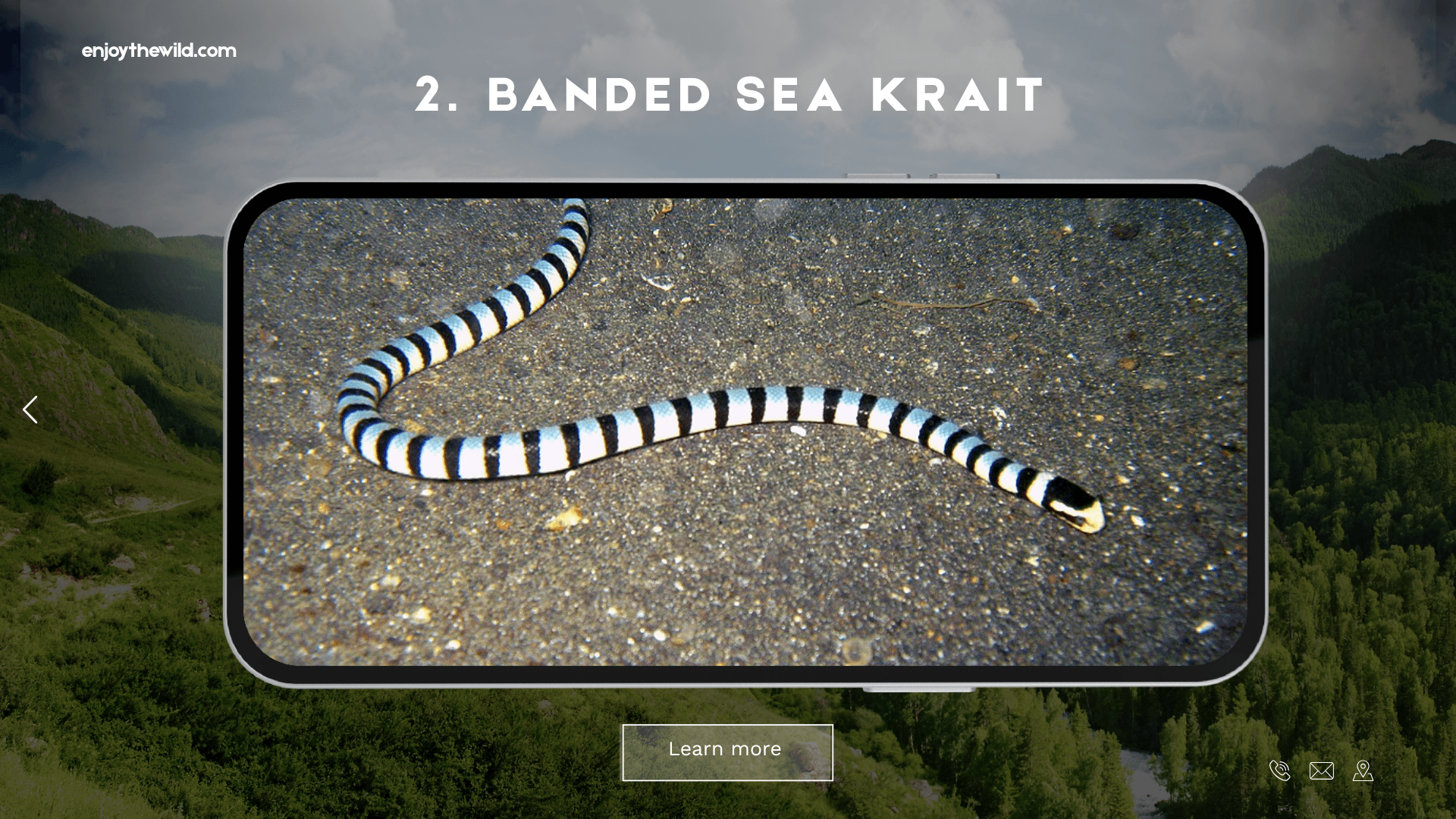 Banded Sea