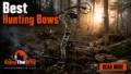 Best-Hunting-Bows