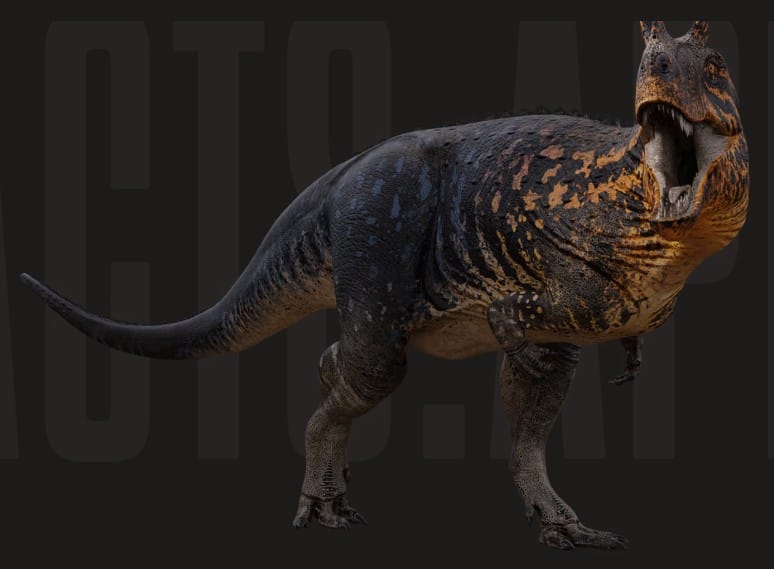 Ceratosaurus nasicornis