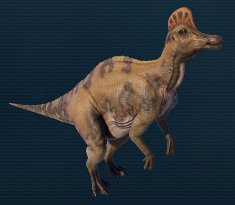 Corythosaurus casuarius