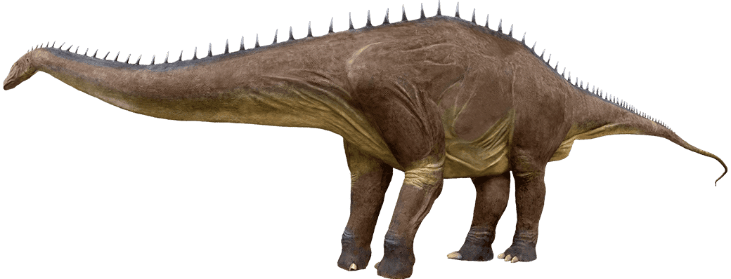 Diplodocus longus