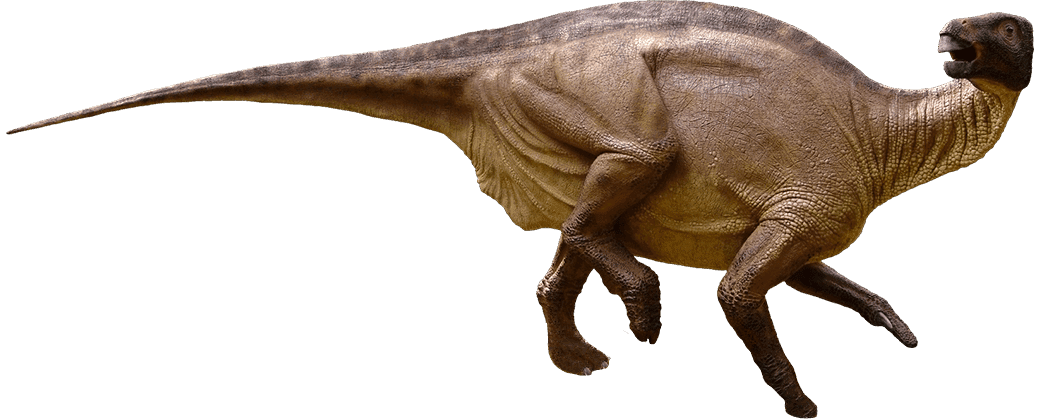 Iguanodon bernissartensis