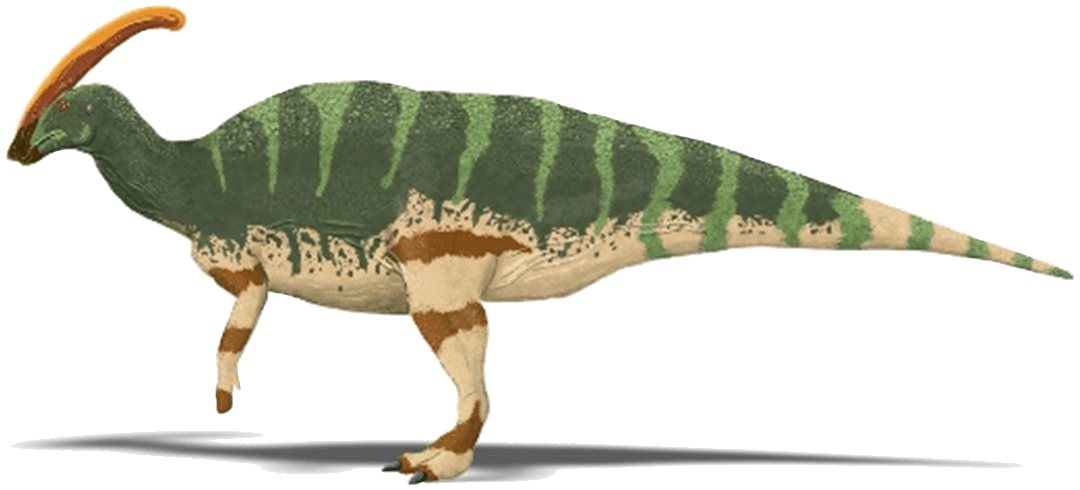 Parasaurolophus walkeri