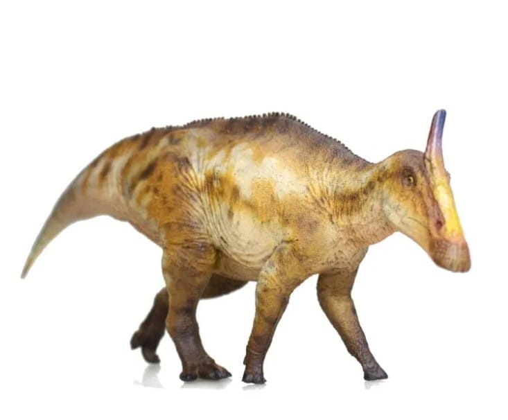 Saurolophus osborni