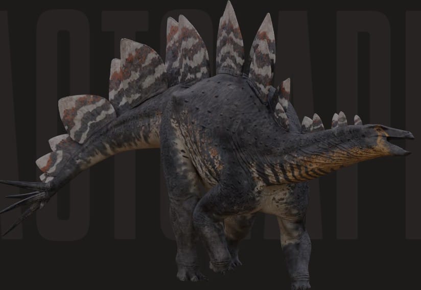 Stegosaurus stenops