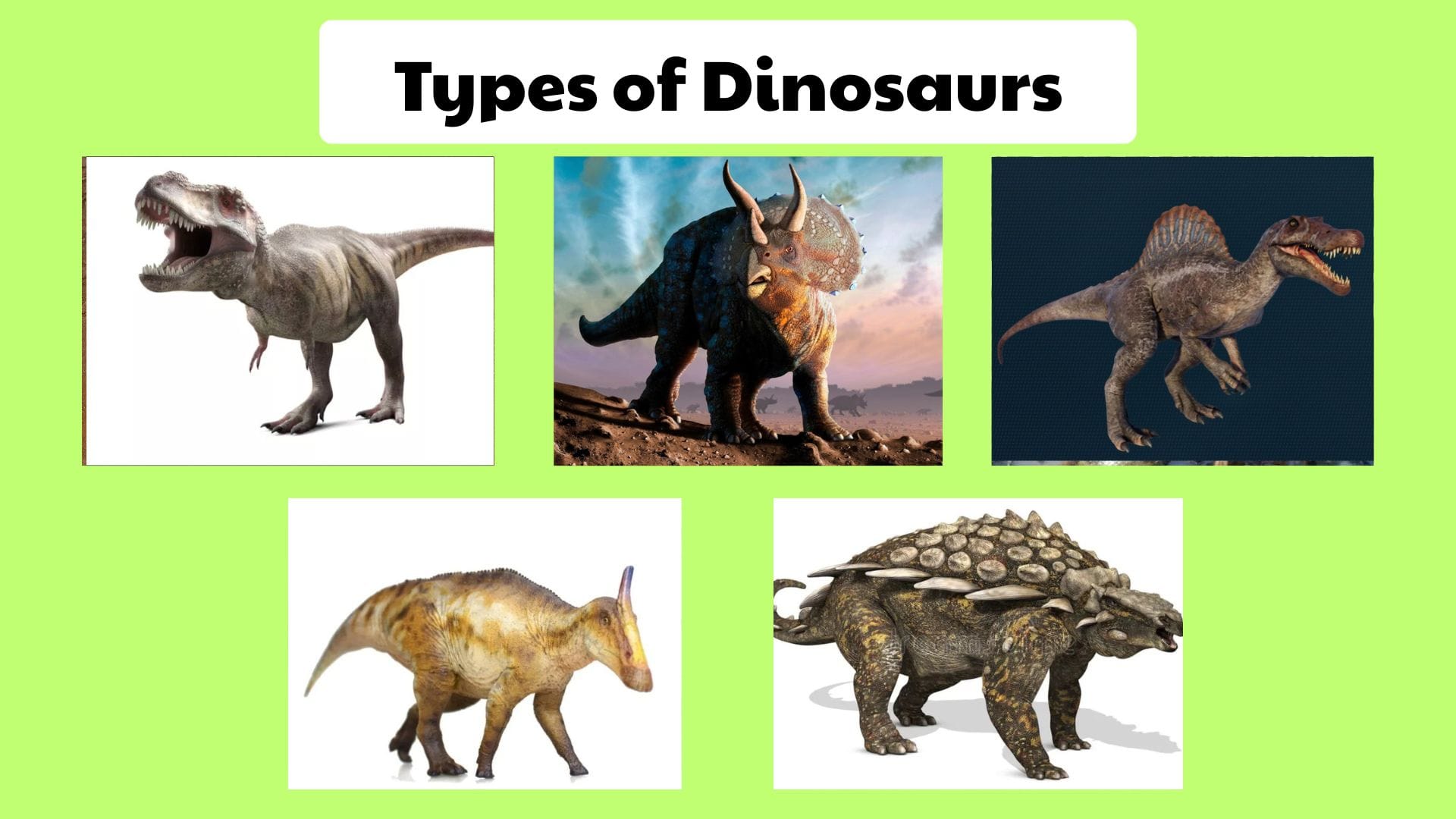 Types of Dinosaurs