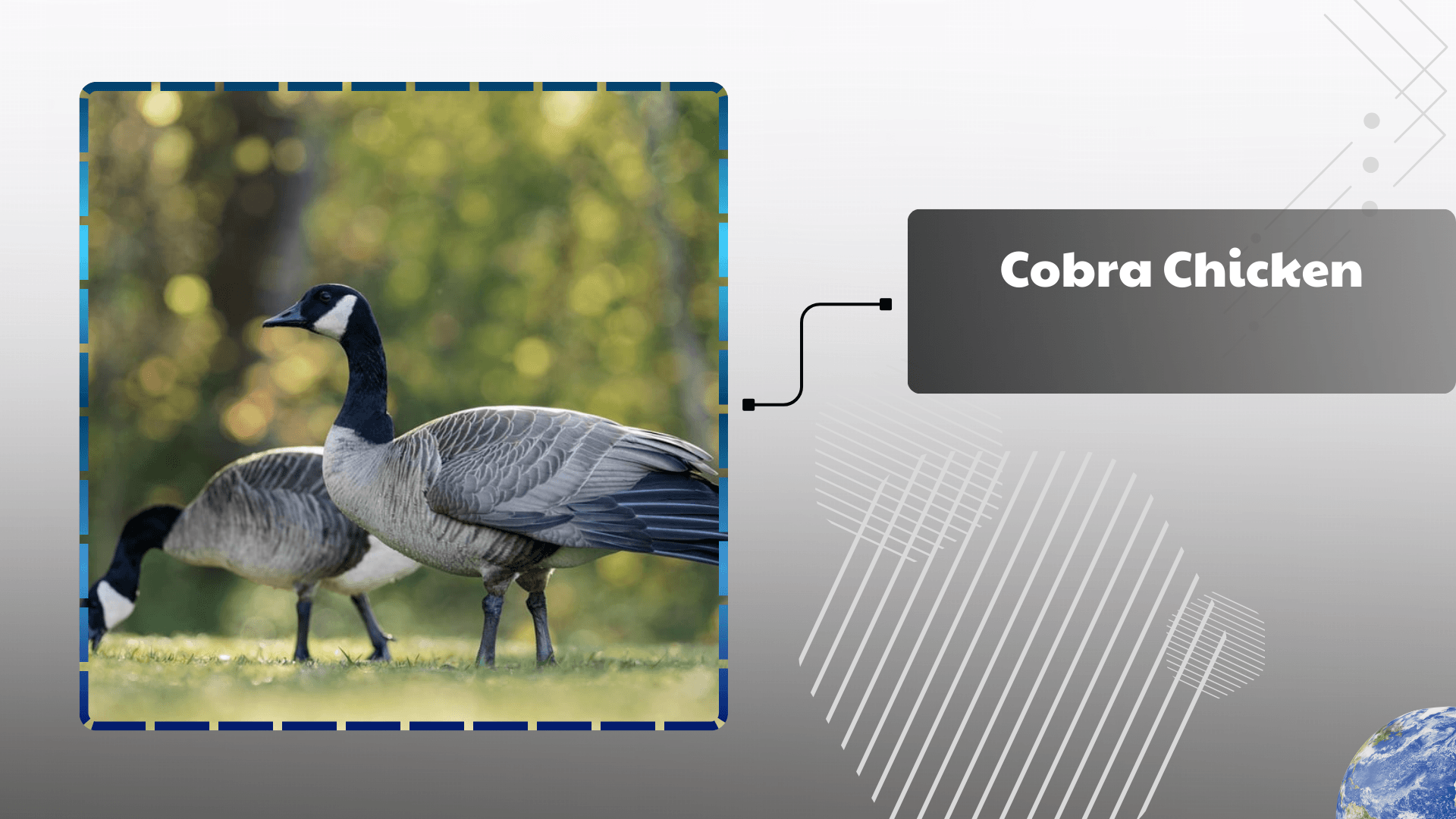 Cobra Chicken