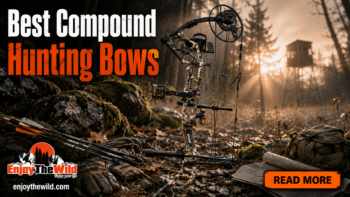Best Compound Hunting Bows
