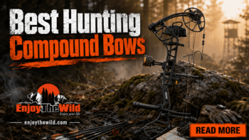 Best Hunting Compound Bows