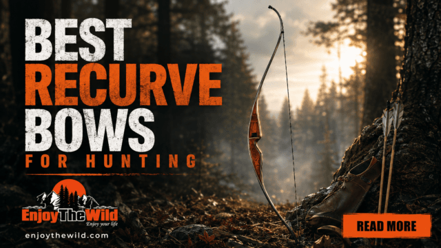 10 Best Recurve Bows for Hunting: Traditional, Takedown, and Field ...