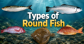 Types of Round Fish