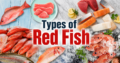 Types of Red Fish