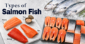 Types of Salmon Fish