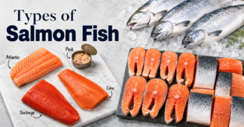 Types of Salmon Fish