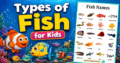 Types of Fish for Kids
