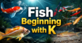 Fish Beginning With K