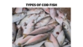 types of cod fish