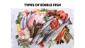 types of edible fish