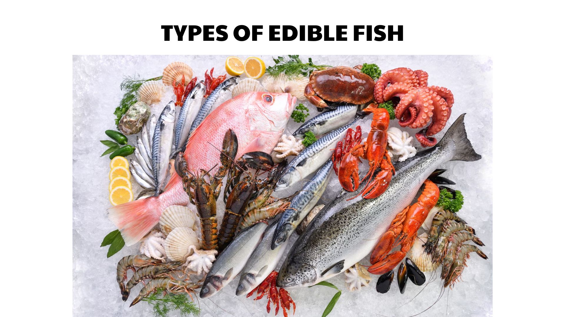 types of edible fish