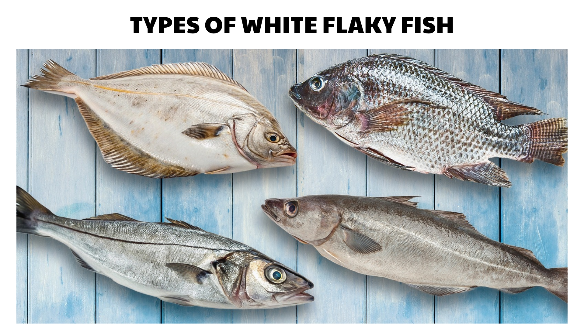 30 Types of White Flaky Fish for Cooking