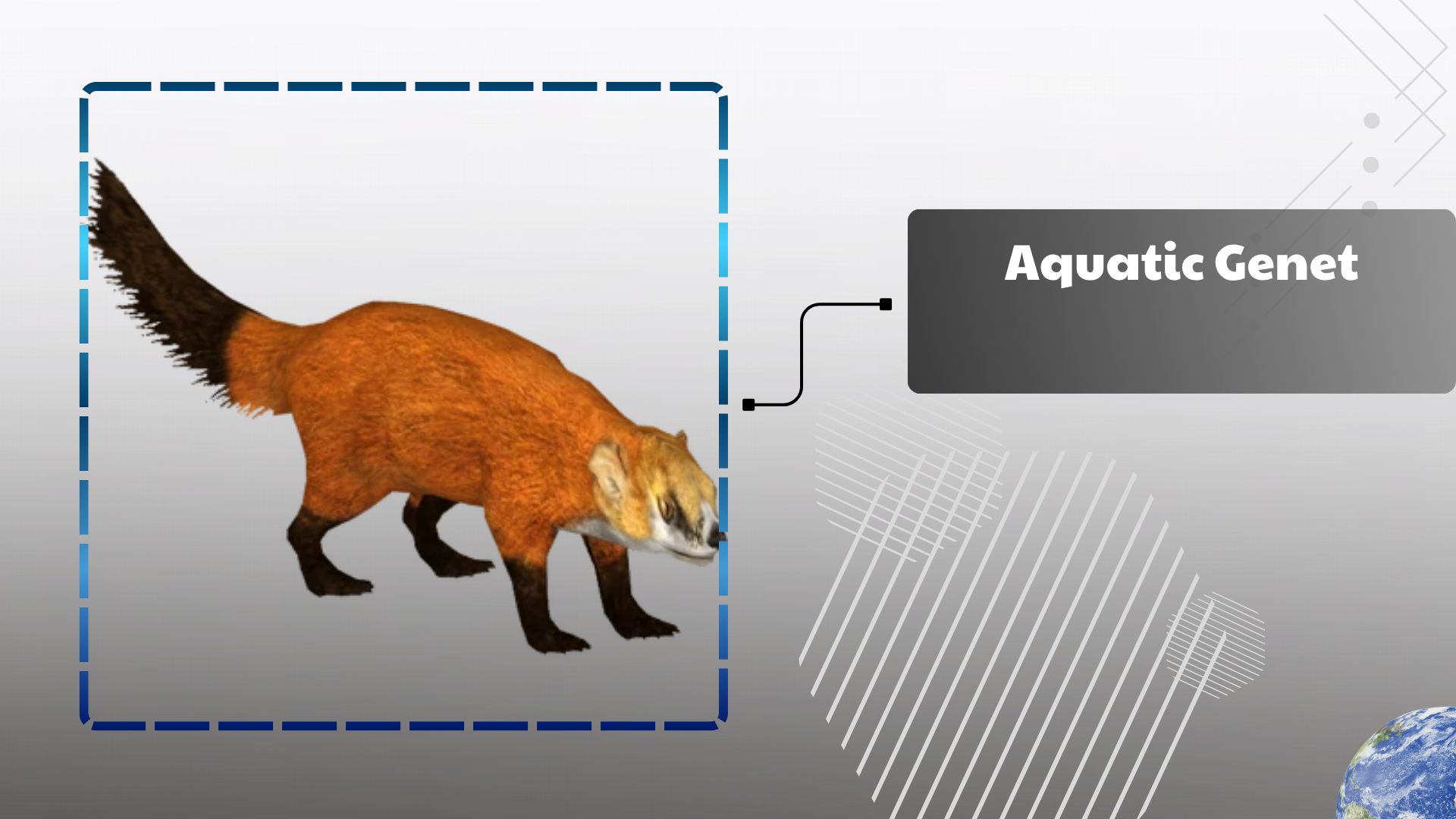 Aquatic Genet