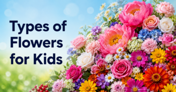 Types of Flowers for Kids