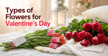 Types of Flowers for Valentine's Day