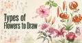 Types of Flowers to Draw
