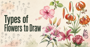 Types of Flowers to Draw