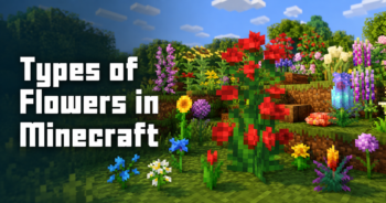 Types of Flowers in Minecraft