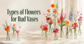Types of Flowers for Bud Vases