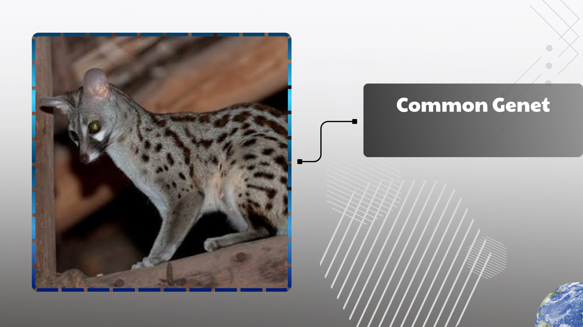 Common Genet