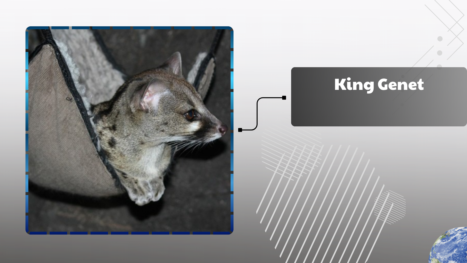 King Genet