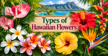 Types of Hawaiian Flowers